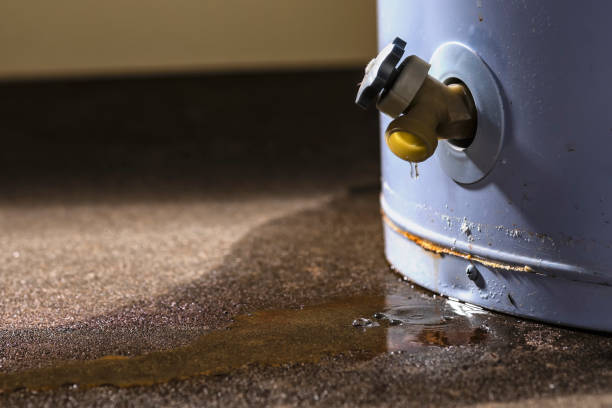 Best Local water damage restoration  in Dundee, NY
