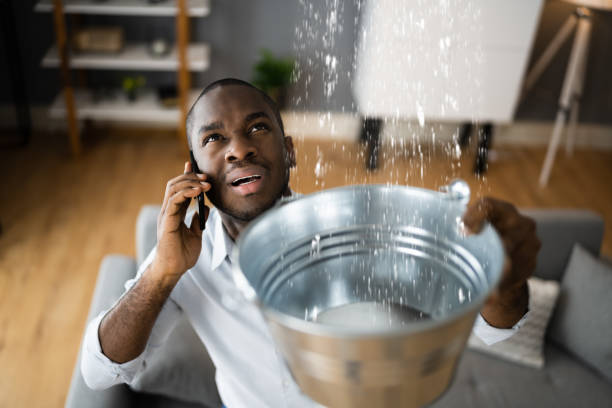 Best Water damage restoration near me  in Dundee, NY