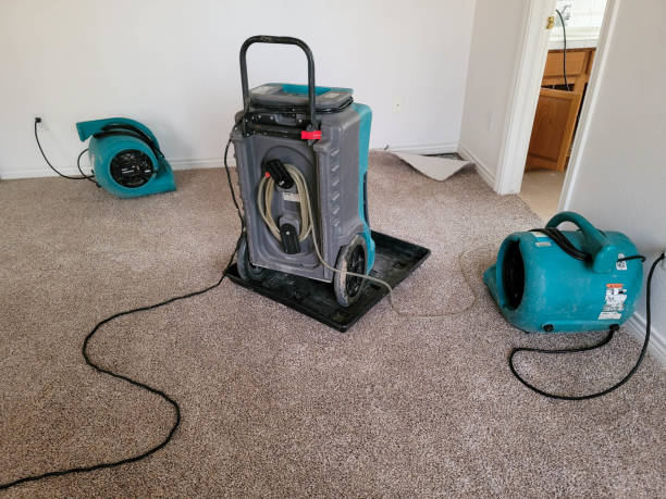 Trusted Dundee, NY Water damage restoration Experts