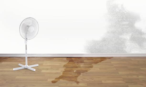 Best 24/7 water damage repair  in Dundee, NY