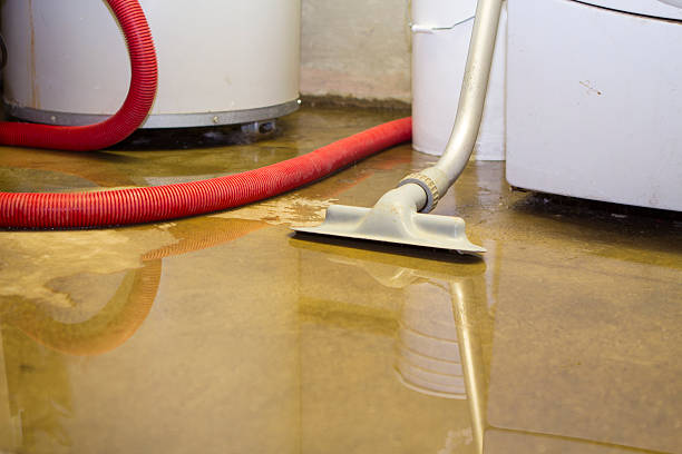 Best Water damage restoration cost  in Dundee, NY