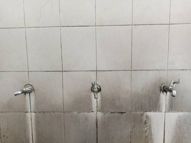 Best Fire Damage Restoration  in Dundee, NY