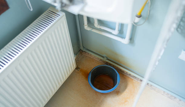 Best Carpet water damage restoration  in Dundee, NY