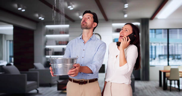 Best Basement water damage restoration  in Dundee, NY